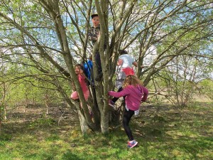 Kids playing up a tree